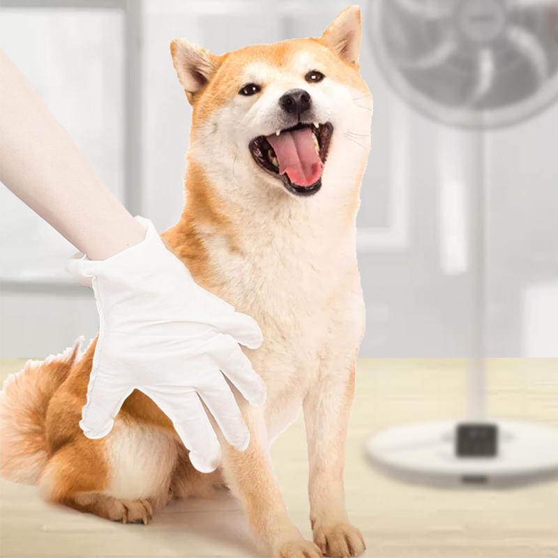 Хорошо ли использовать одноразовые нетканые перчатки для домашних животных?